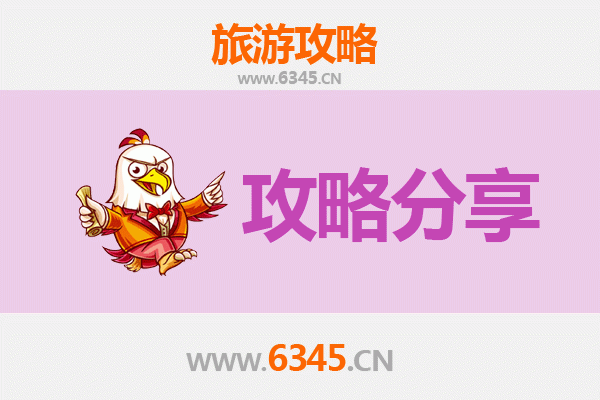 中山黄圃镇旅游攻略：跟团与自由行深度对比